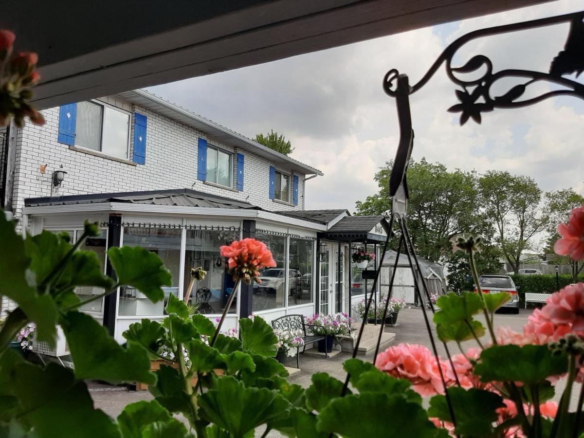Blue Moon Motel Niagara Falls Exterior photo